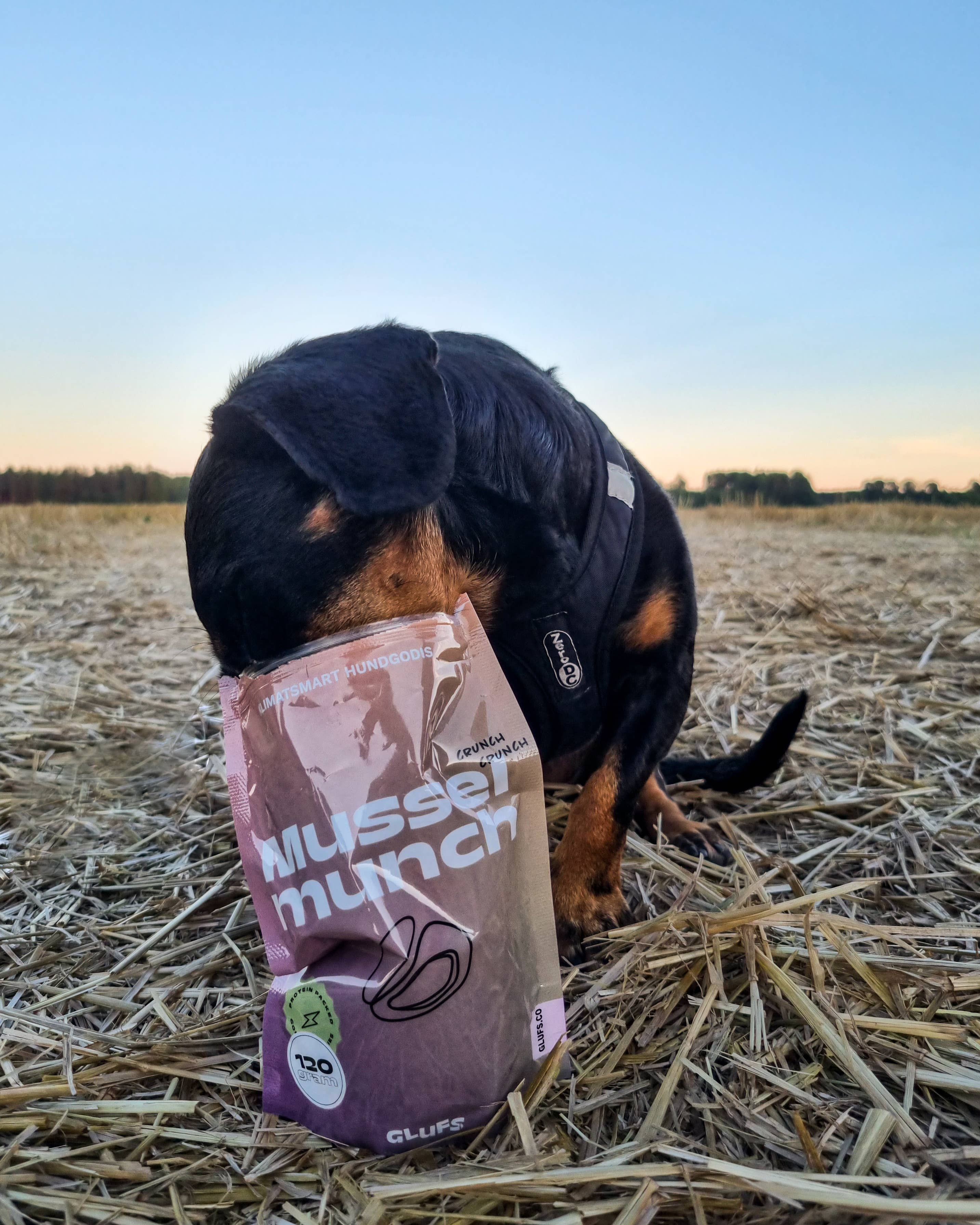 Glufs - Wholesale Pet Treats - Dog - Musselmunch5