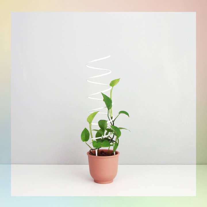 Espiral - treliça de plantas de casa por atacado de Pistachio Playground