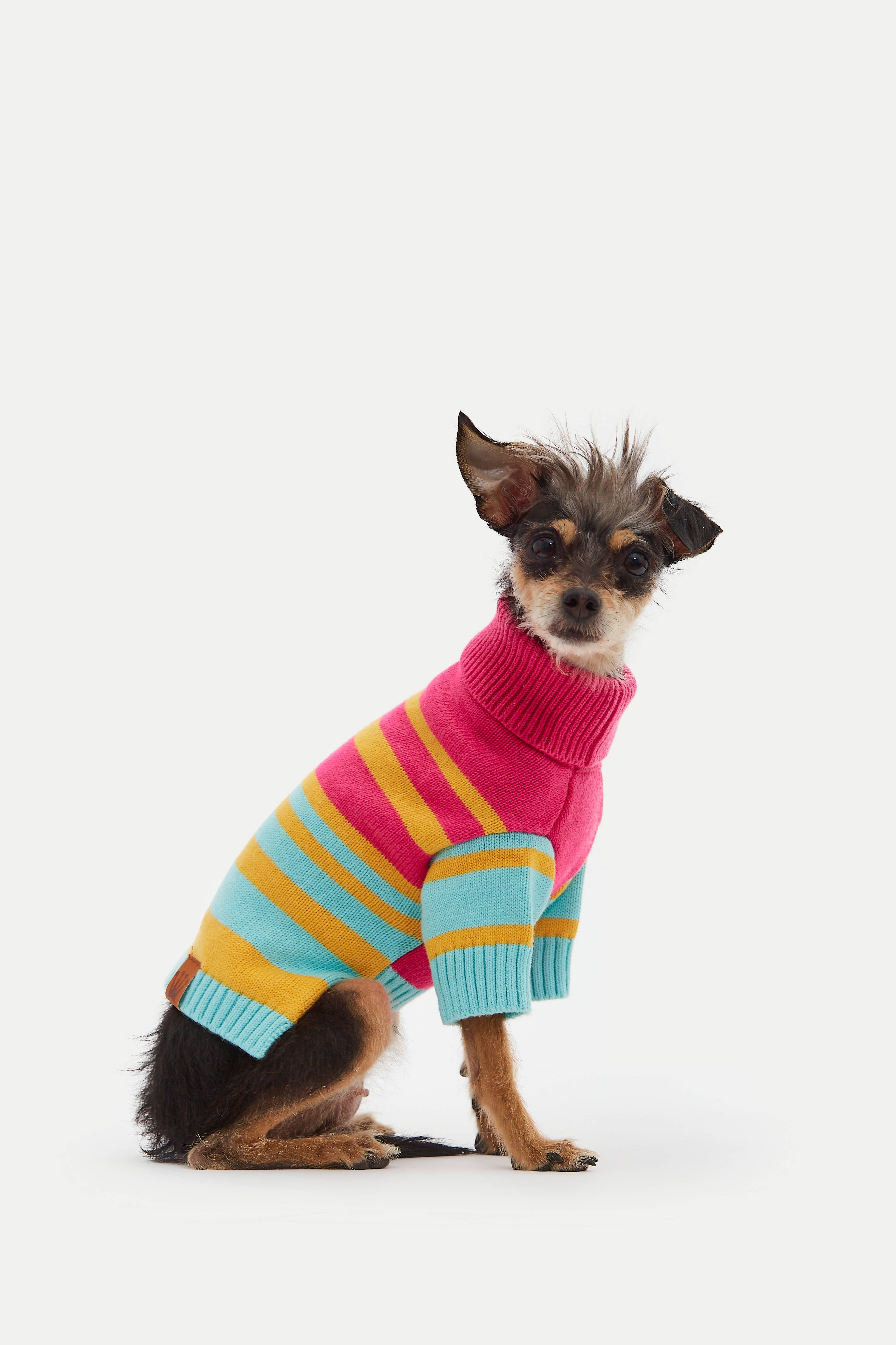 ARISTOPET - Wholesale Pet Sweater - Dog - BERNARD JERSEY7