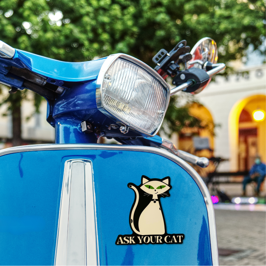 Card To Believe - Wholesale Sticker - Ask Your Cat Vinyl Die Cut Sticker5