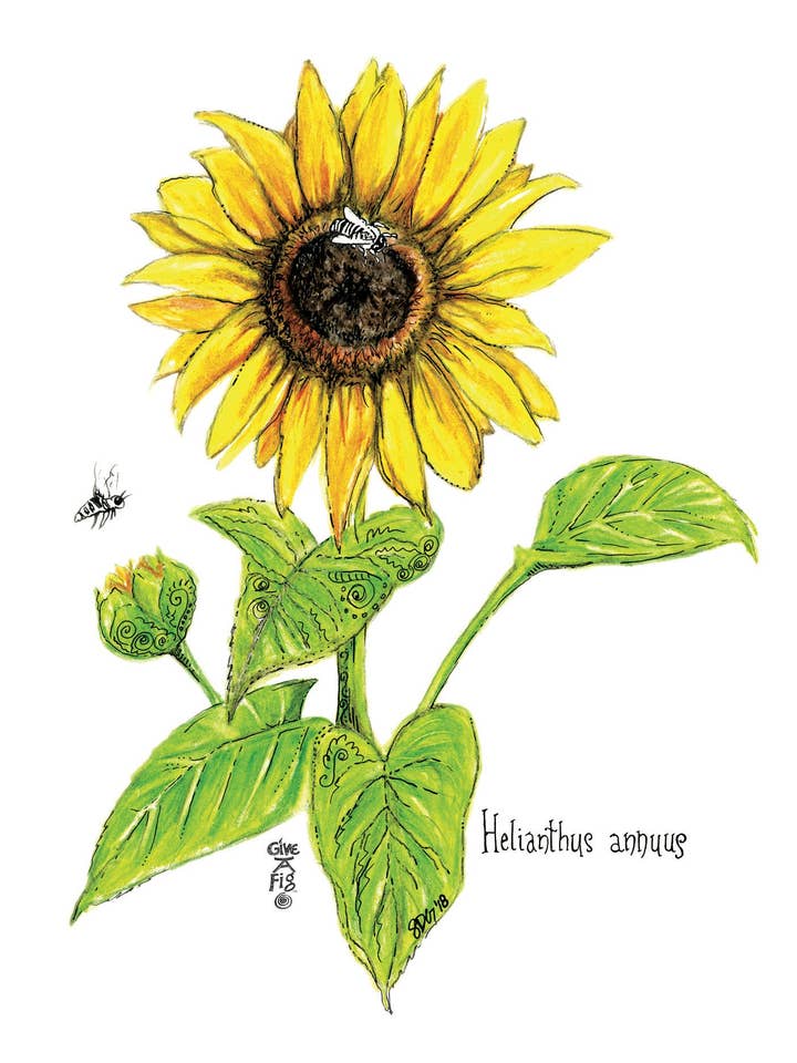 Sunflower Tea Towel for wholesale by Give A Fig