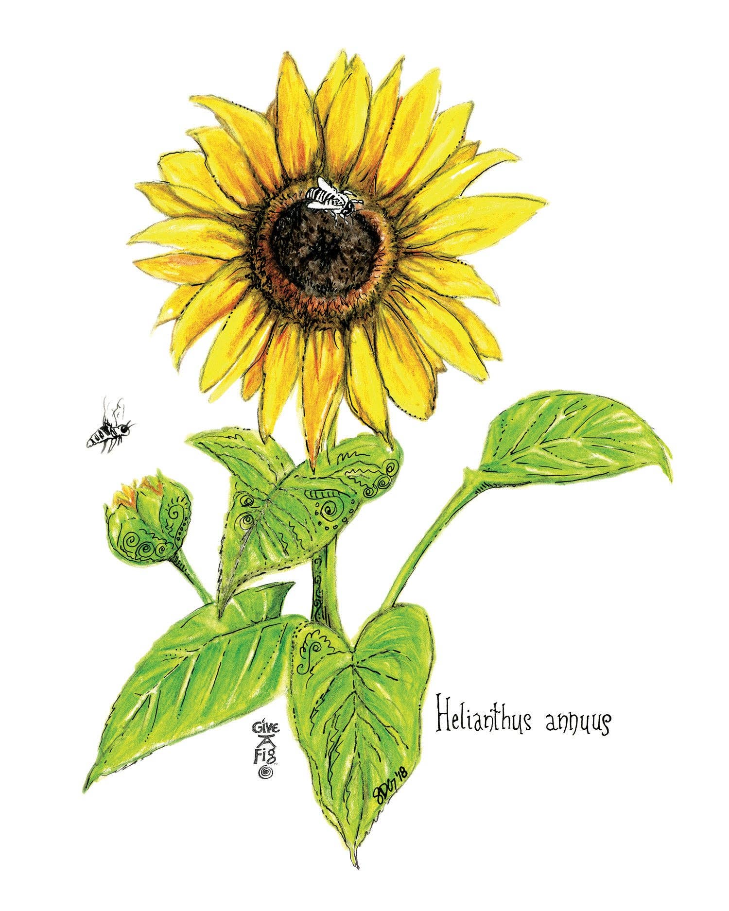 Sunflower Tea Towel for wholesale by Give A Fig