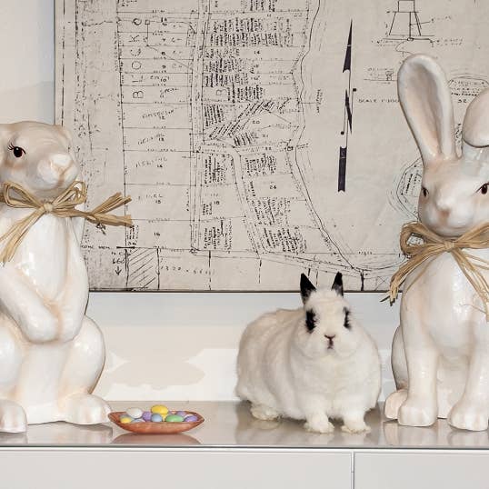 16.5" & 21" Tall Paper Mache Bunny Rabbit Set/2 (Pink) and other Purchase Wholesale flocked bunnies. Free Returns & Net 60 Terms on Faire trending on Faire.