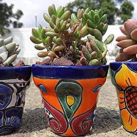MEXTEQUIL - Wholesale Plant Pot - Talavera Hand-Painted Pottery Planters - Set of 3 (Flowers 2.8")