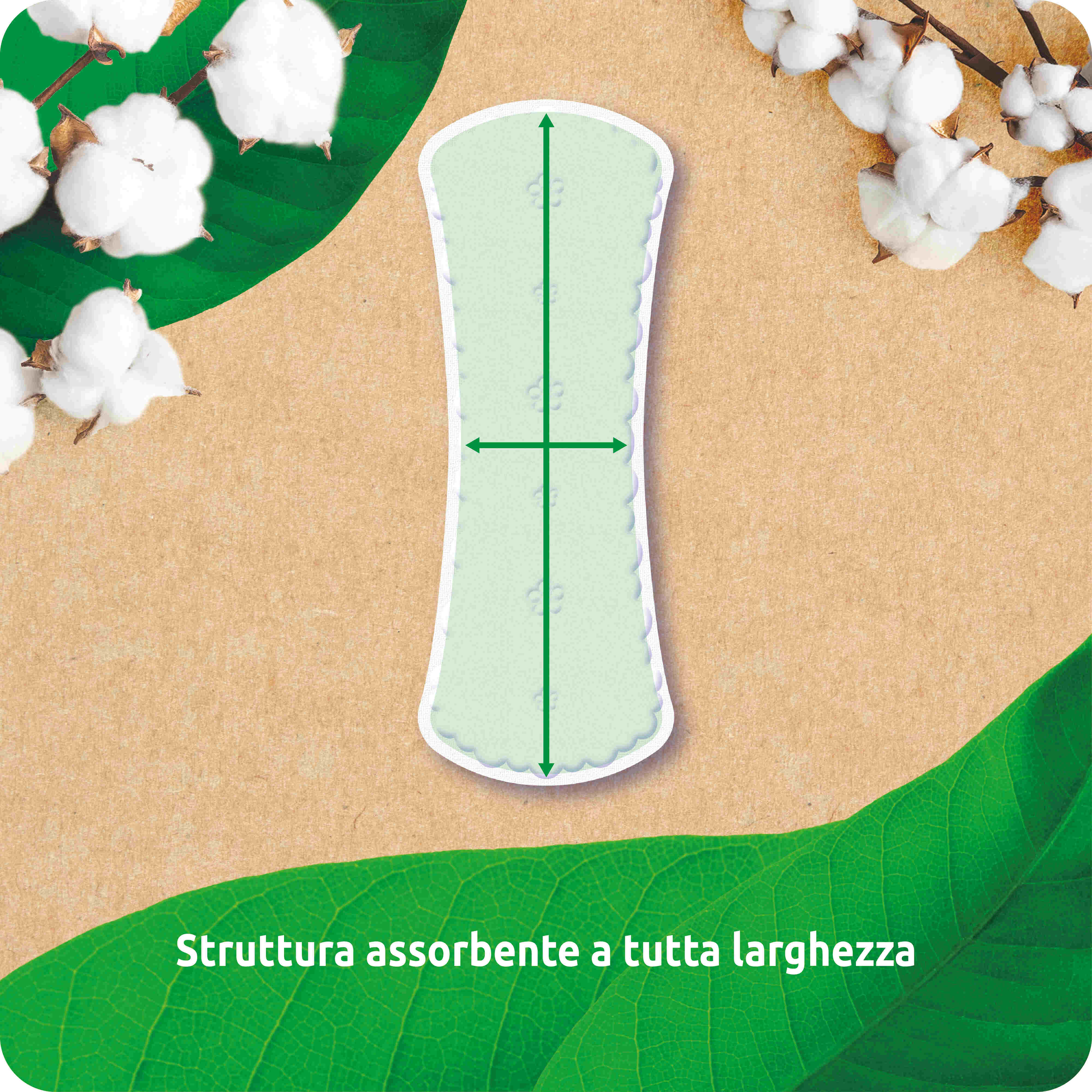 Babylino - Venta al por mayor Compresas y protegeslips - Babylino Everyday Natura Protectores Diarios Normales de Algodón Orgánico, 20 unidades1