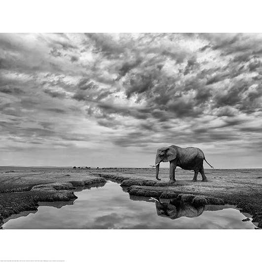 Mario Moreno (Serenità Gigante) - PPR51504 per la vendita all'ingrosso da parte di The Art Group