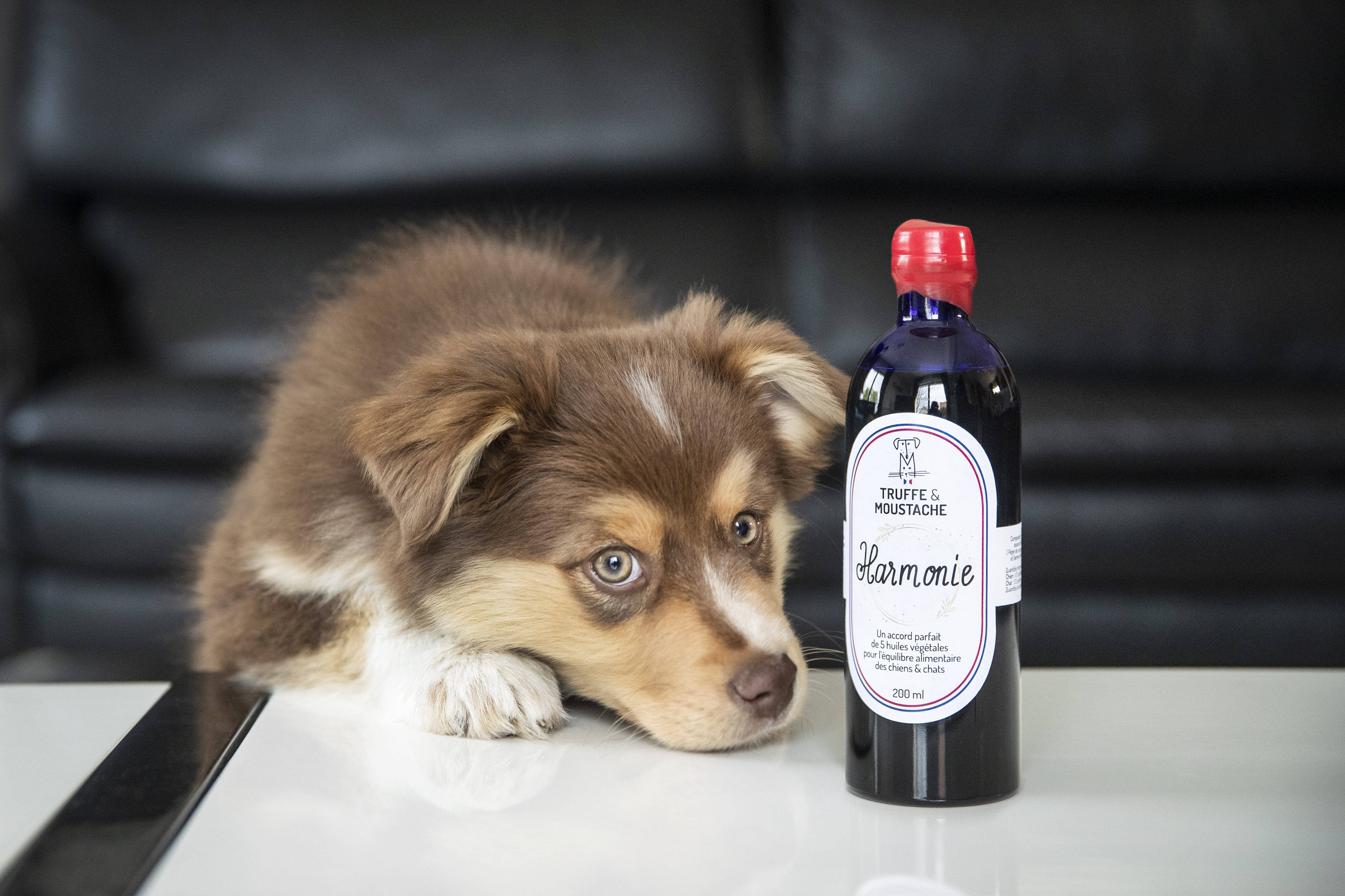 Truffe & Moustache - Wholesale Pet Supplement - Cat/Dog - Vegetable oil for dogs & cats, Omega 3 and 6, “Harmony”10