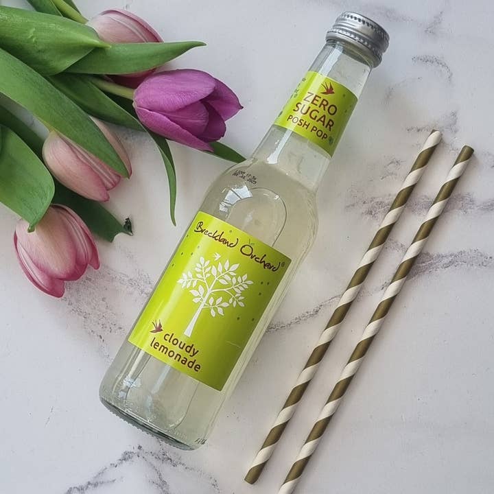 Breckland Orchard – wholesale Flavoured/infused water (non-carbonated) – ZERO Sugar Cloudy Lemonade Posh Pop 12 x 275ml