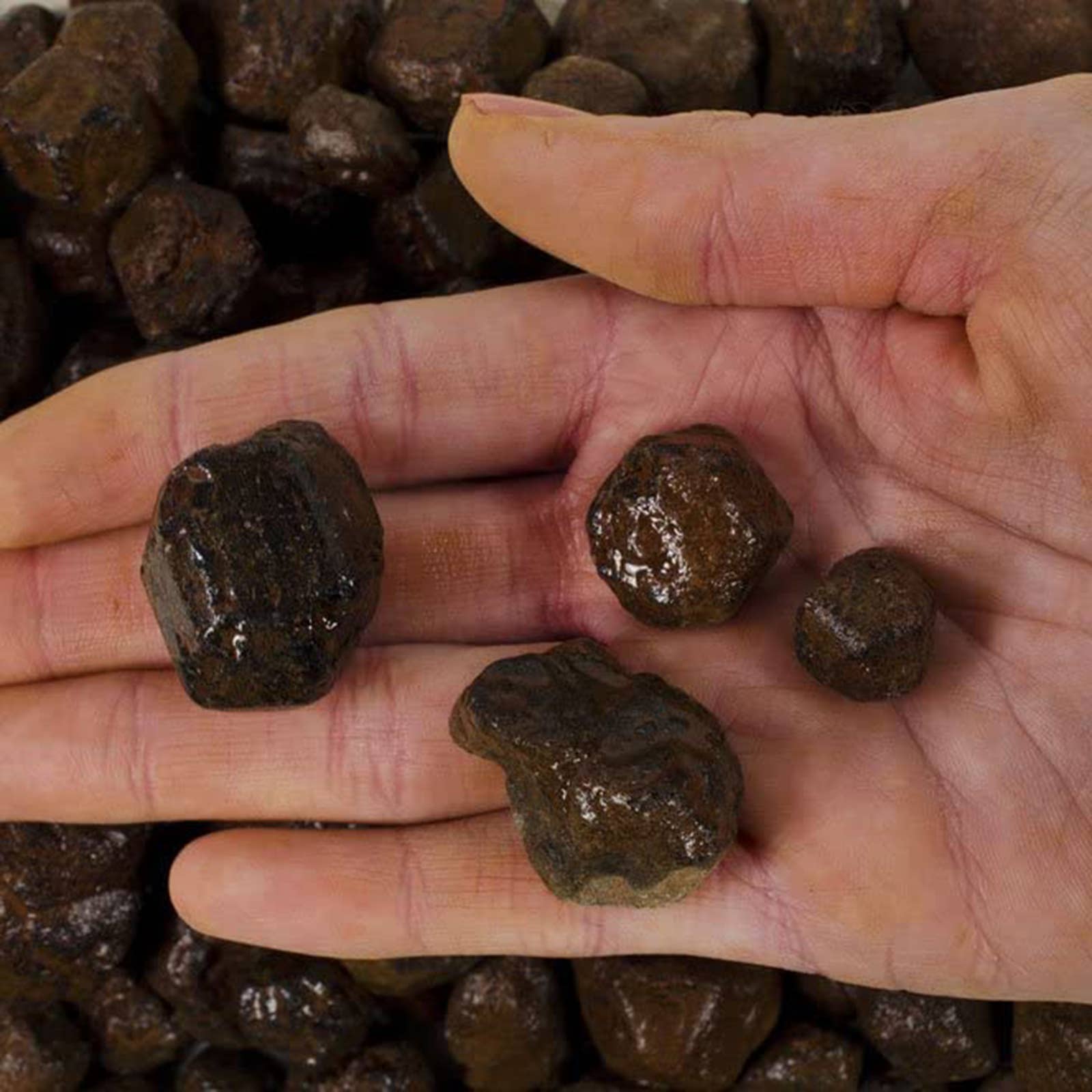 Fantasia Mining - Wholesale Spiritual Stone/Crystal - Rough Rhodolite Garnet - India - Raw Natural Stones (1 lb)1