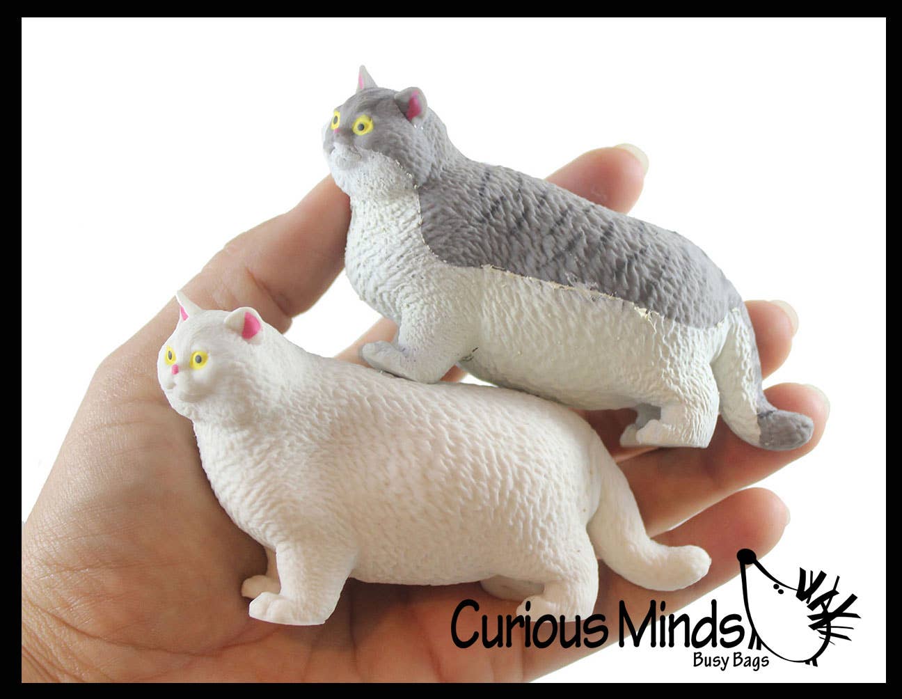 Curious Minds Toys - Wholesale Squishy Toy - Kids & Baby - 1 Fat Stretchy Cat Crushed Bead Sand Filled - Kitty Lover Se7