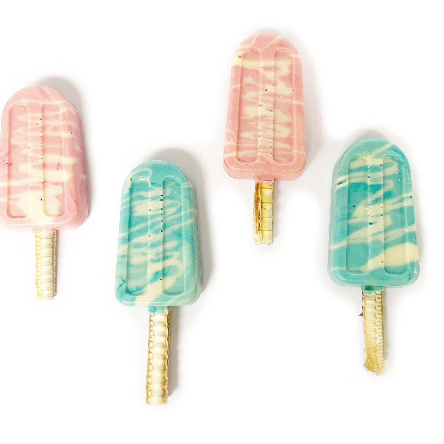 Bones & Whiskers - Wholesale Pet treats – Dog - Superfood Pupsicle1