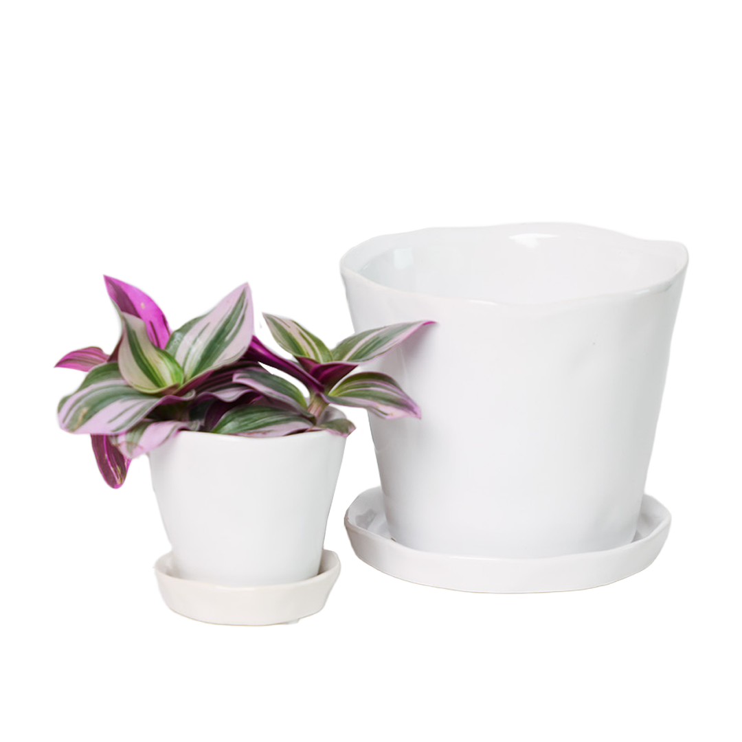Chive - Wholesale Plant Pot - Tika Ceramic Pots With Saucer And Drainage Hole - 3"28