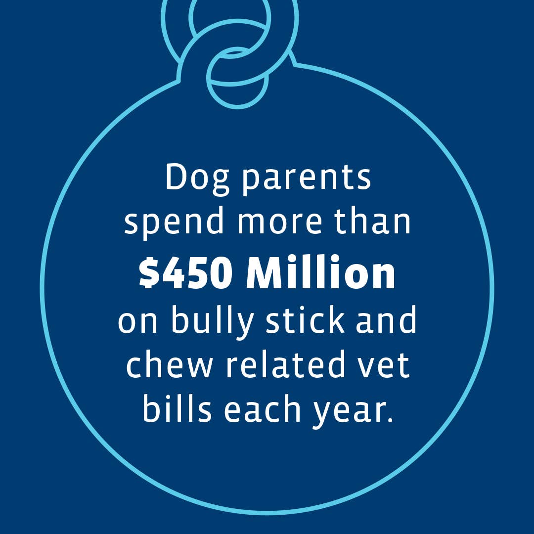 Bow Wow Labs - Wholesale Pet Chew Toy - Dog - Bow Wow Buddy™ Bully Stick Holder16