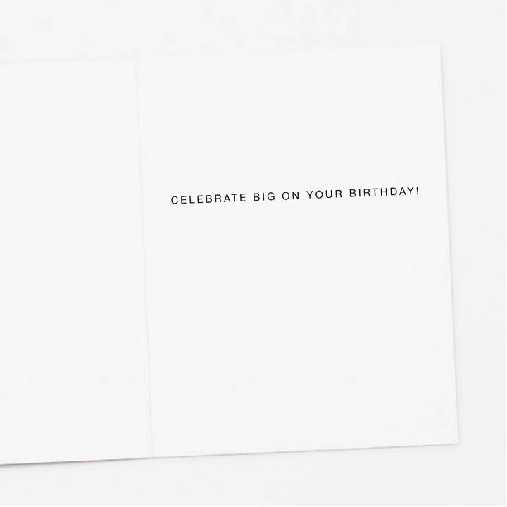 Apartment 2 Cards - Wholesale Birthday Card - Disco Raccoon Birthday Card1