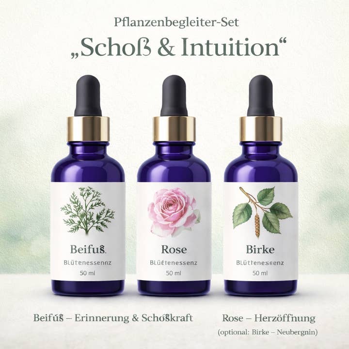 Plant Companion Set "Lap & Intuition" for wholesale by Kreutherkraft Manufaktur