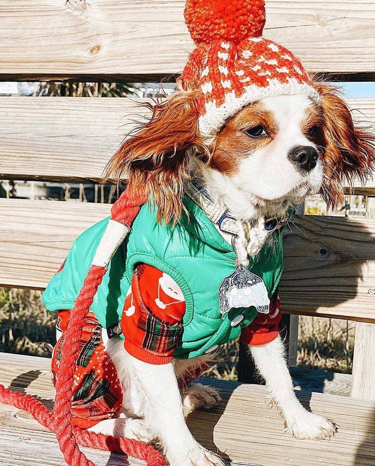 PoisePup – wholesale Halsband - Hund – KRAGE - VARM MARIN11