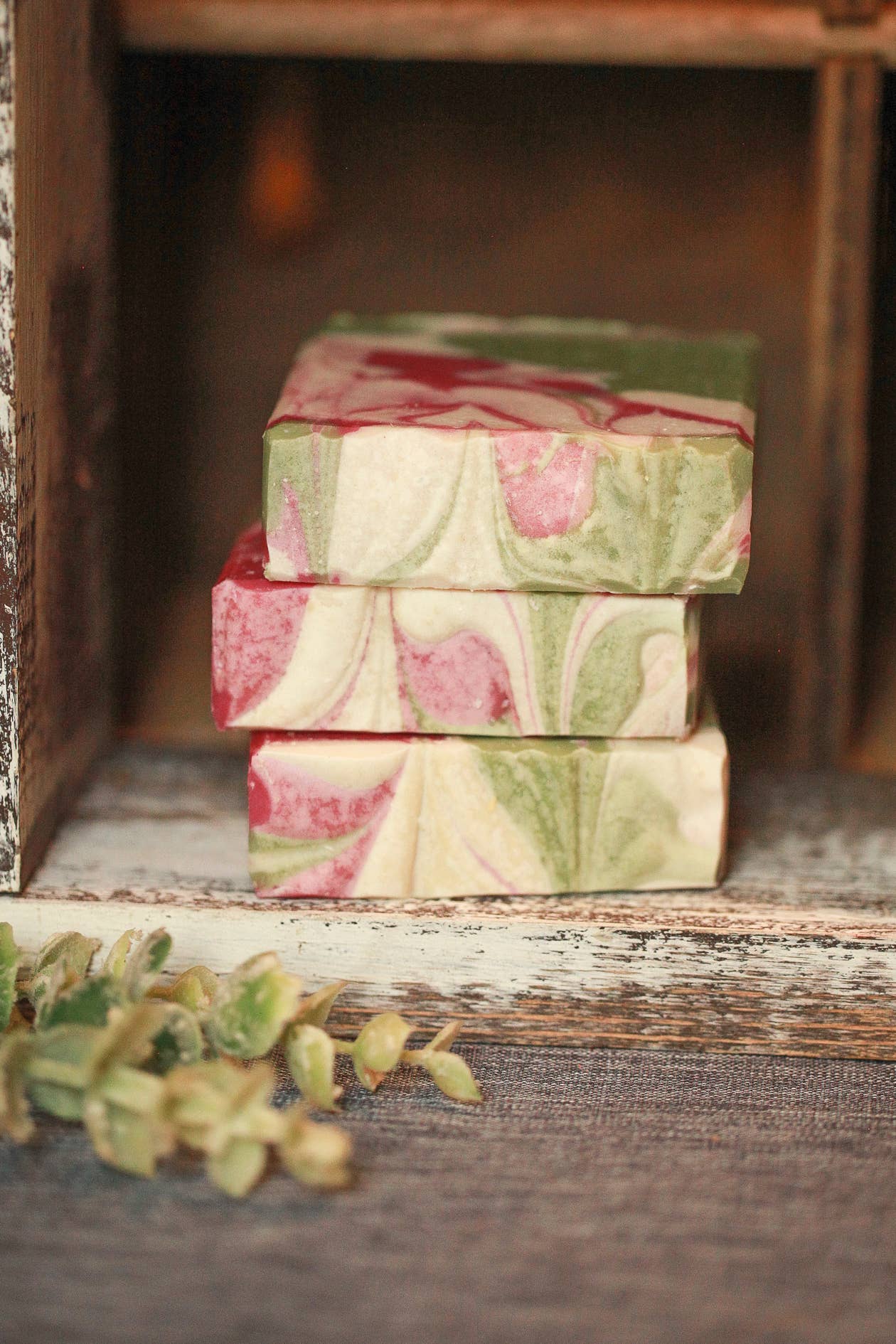 Faith and Grace Soap Co. - Wholesale Bar Soap - Baja Cactus Artisan Soap, Luxury Shea Butter Soap, 4.5 oz.1