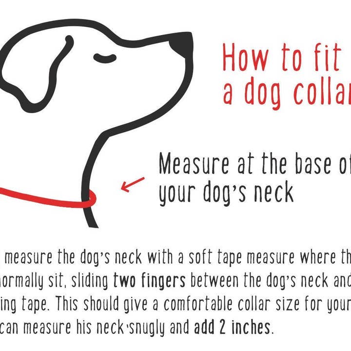 MAASAI CHIEF - Wholesale Pet collar – Dog - Chevron: Handmade Beaded Maasai Dog Collar, African Dog Collar3