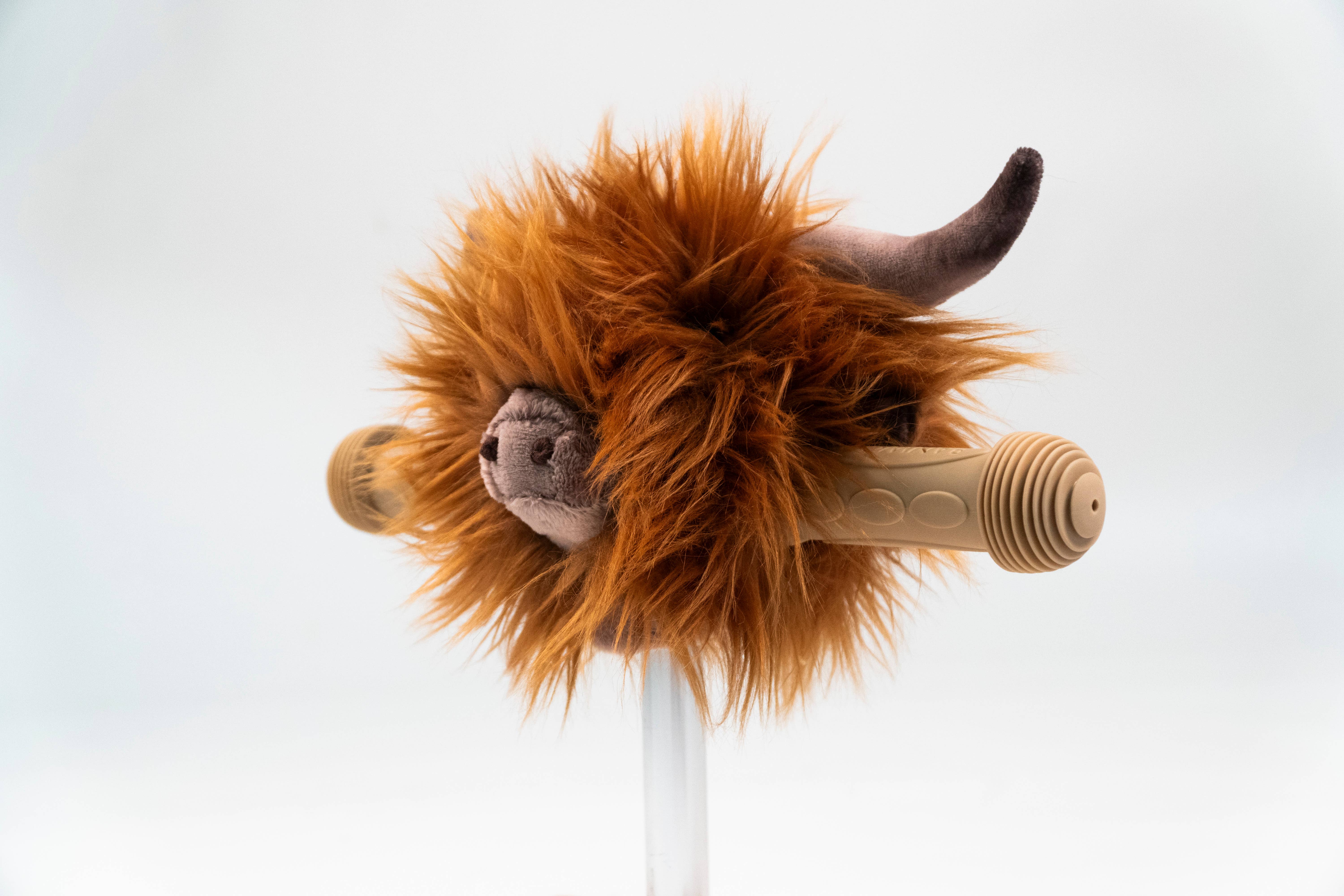 WILD & SOFT - Wholesale Bike/Scooter - Kids - Highland Cow Head Accessory for Kids' Bike/Scooter2