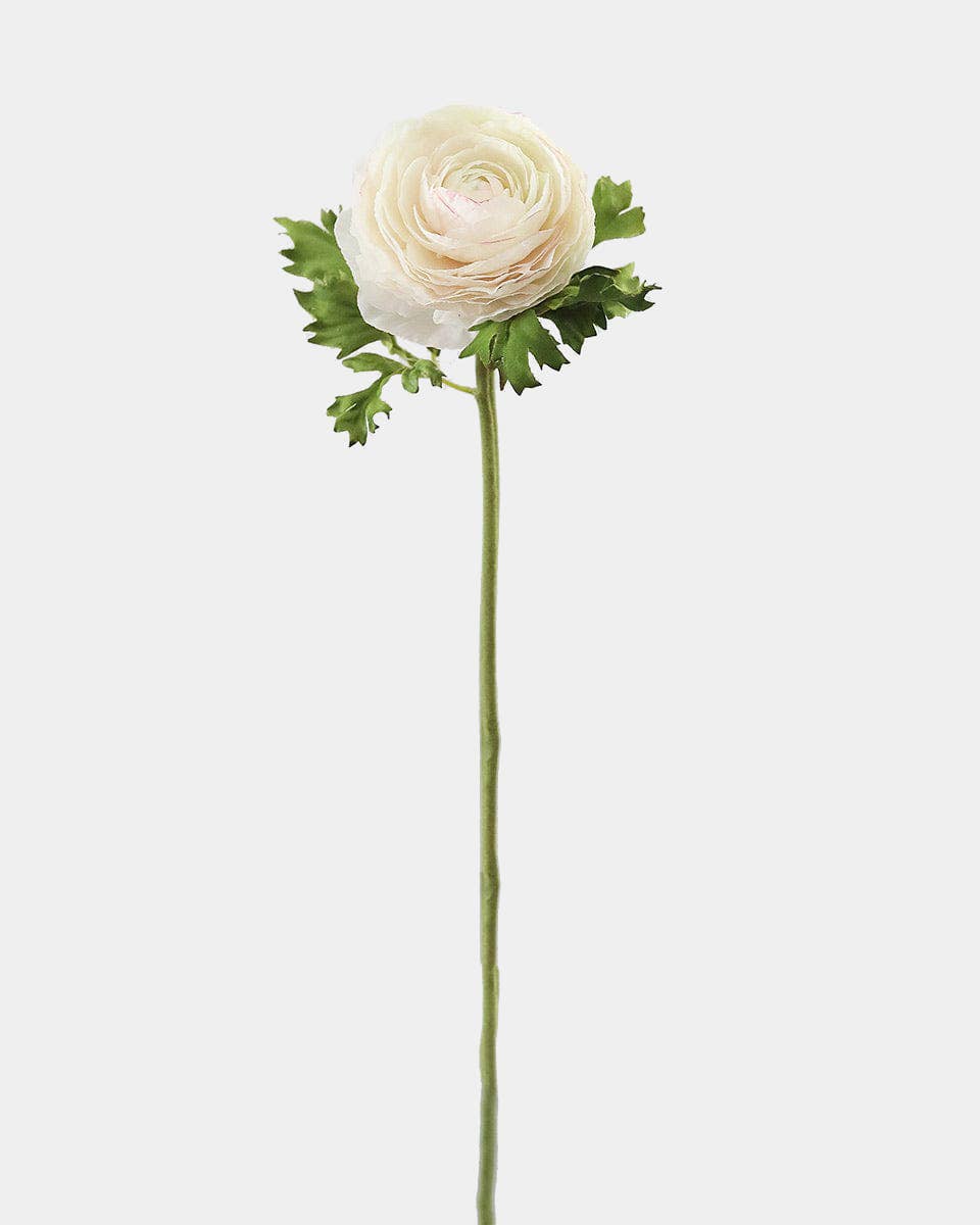 Prestige Botanicals - Wholesale Artificial flowers - Cream Silk Ranunculus 21”