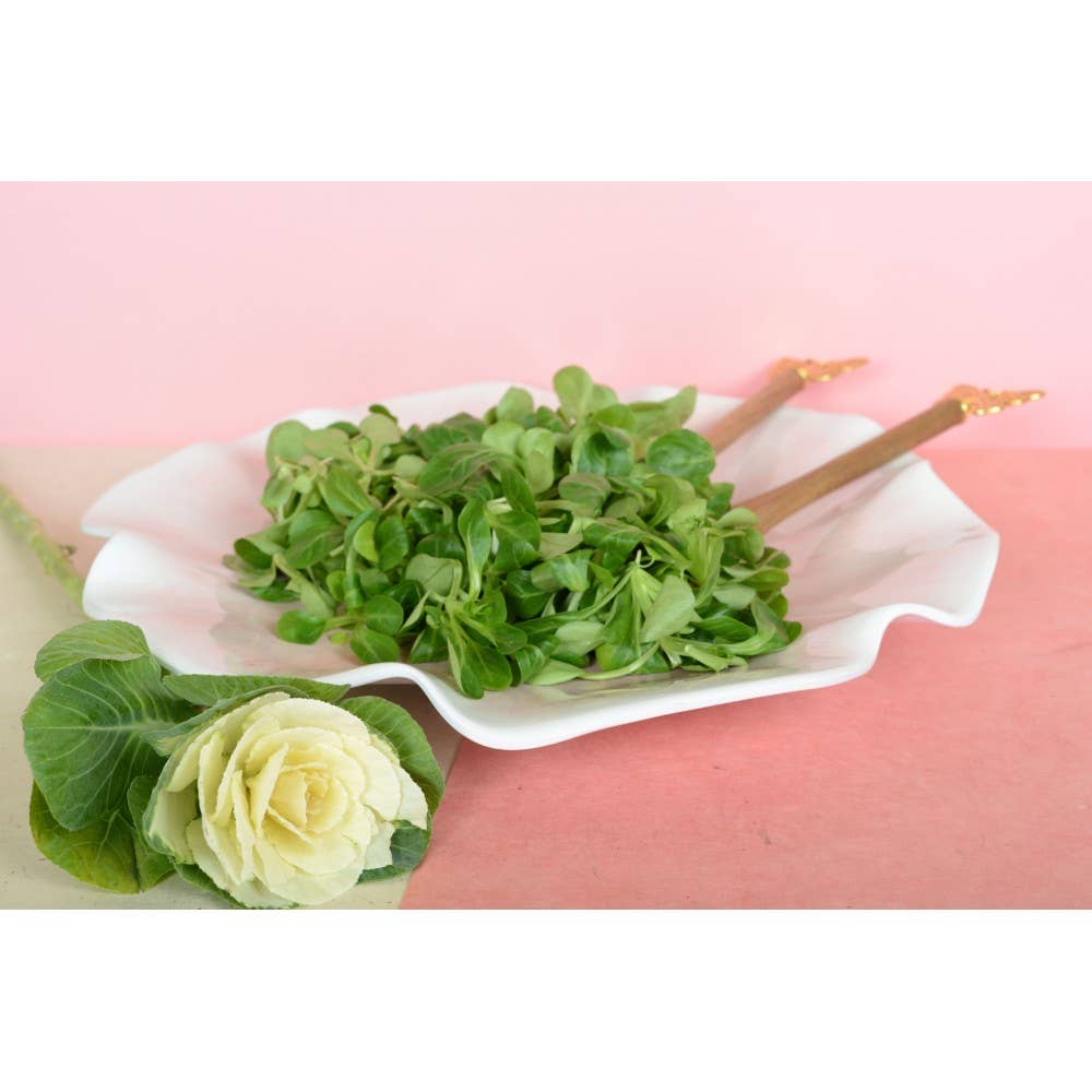 AULICA - Wholesale Charger - Pink melamine presentation plate 40x40x5cm3