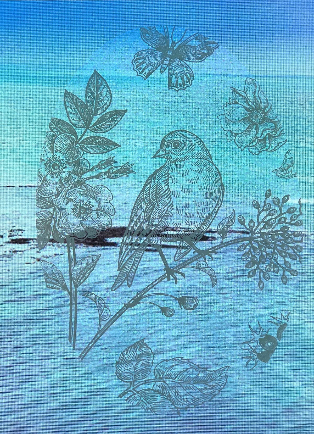 DCentral Magnetics - Venta al por mayor Vinilo/adhesivo de pared - Bird & Butterfly - Vinilo adhesivo para ventana «grabado»2