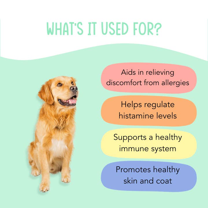 Happy Dingos - Wholesale Pet Supplement - Dog - No More Itchin' - Allergy & Immune Supplement - 120 Chews2