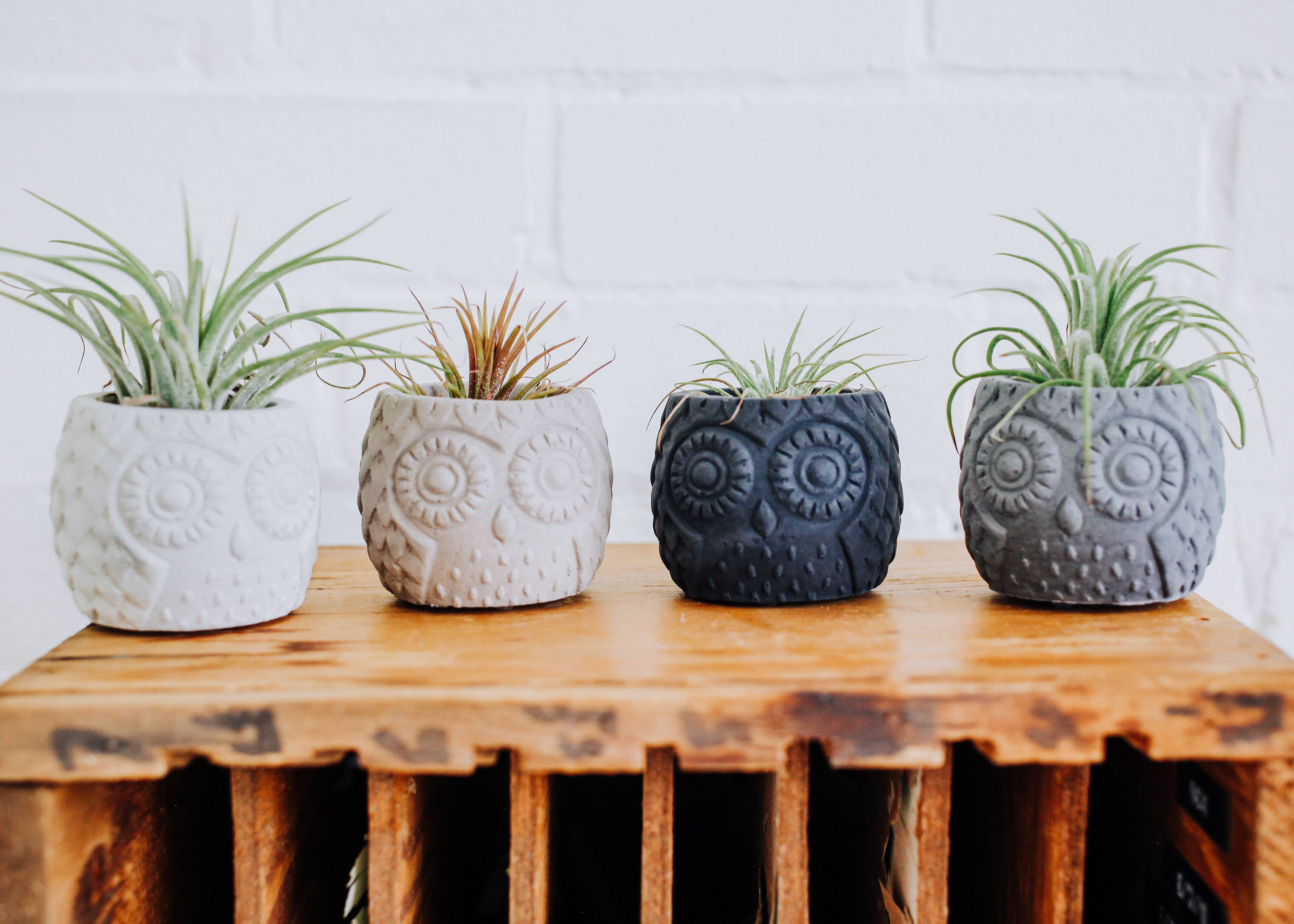poured + crafted - Wholesale Plant Pot - Concrete Owl Planter1