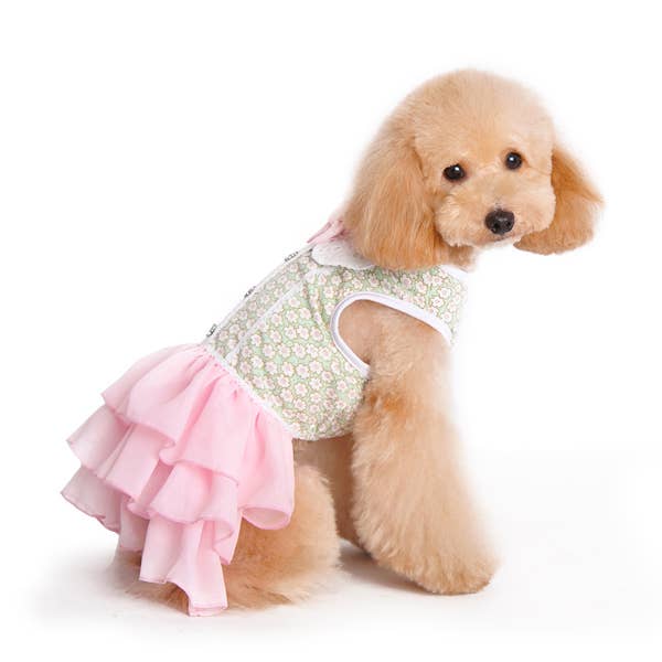 Dogo Pet - Wholesale Pet Dress - Dog - Gatsby Dress1