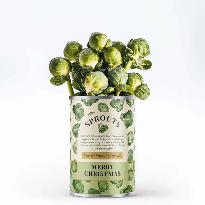 Brussels Sprout Grow Kit – Merry Christmas Edition for wholesale by Alphabet Gifts