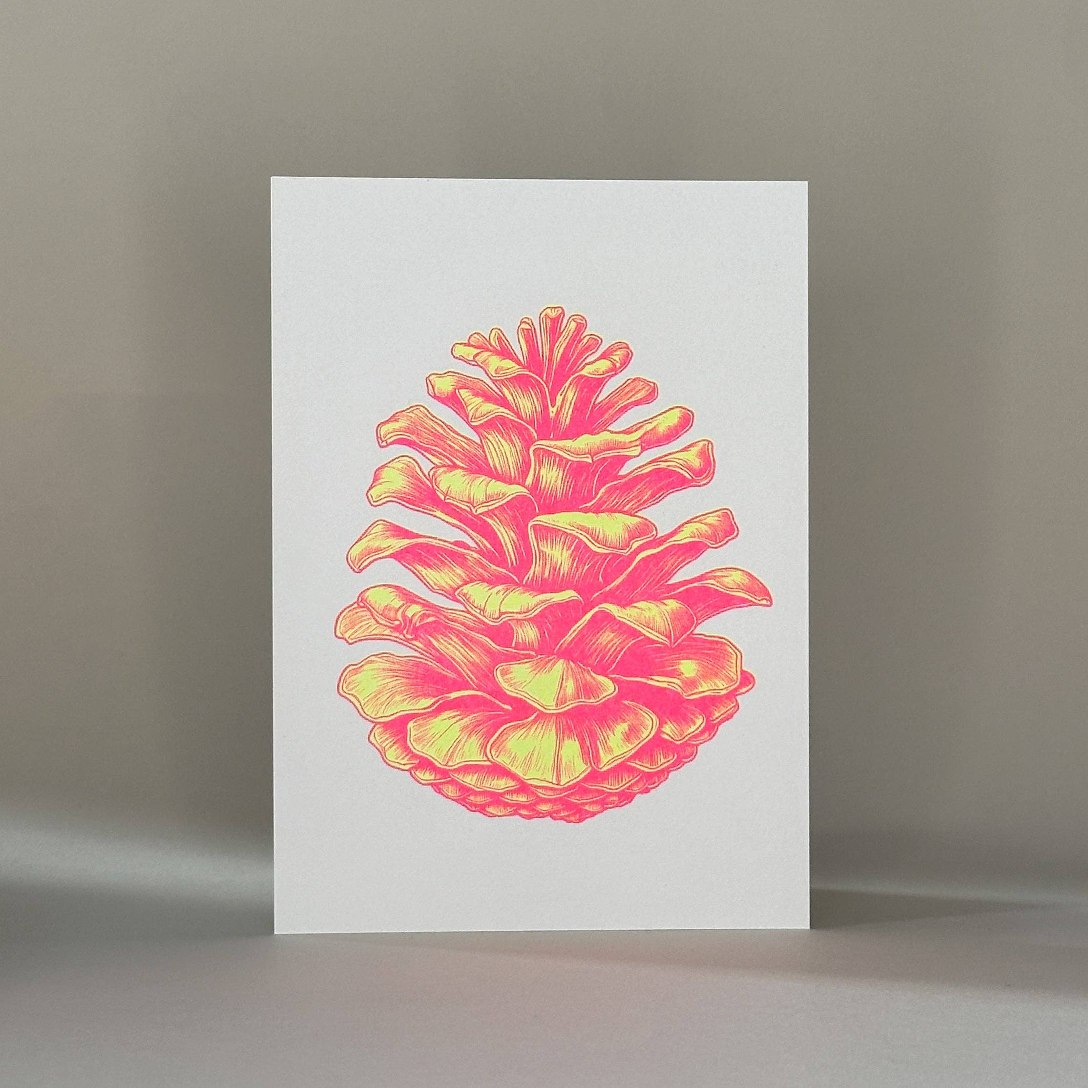 HERR & FRAU RIO - Wholesale Postcard - Pinecone Postcard1