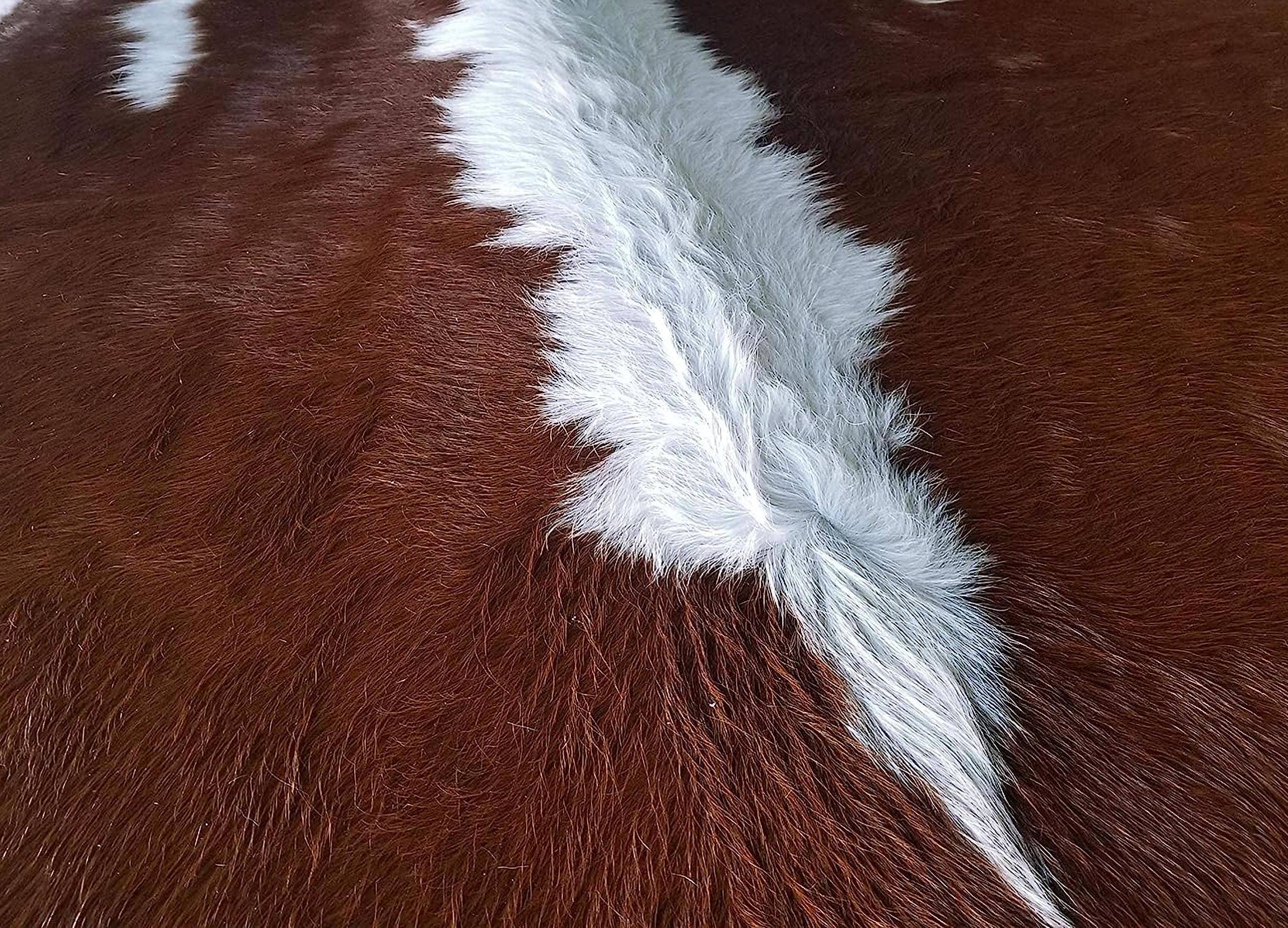 home mart goods – Engroshandel Løst tæppe – 6x7 Fødder Brun & Hvid Mave Hereford Koskind Område Tæppe8