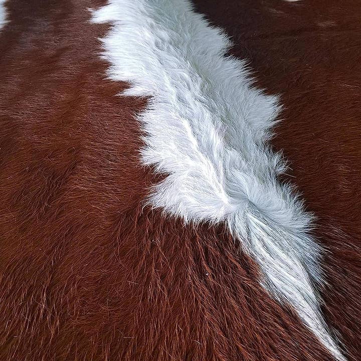 home mart goods – Engroshandel Løst tæppe – 6x7 Fødder Brun & Hvid Mave Hereford Koskind Område Tæppe8