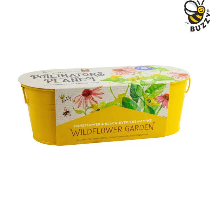Rebord de fenêtre Pollinator - Échinacée et vigne Susan aux yeux noirs pour la vente par Buzzy Seeds Grow Gifts