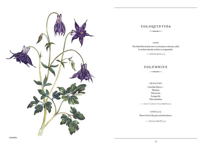 HarperCollins - Wholesale Nature & Outdoors Book - Botanical Shakespeare : Gerit Quealy2