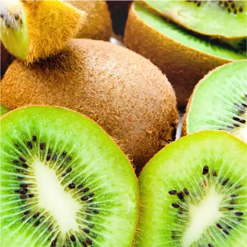 NIVEL SRL SOCIETÀ BENEFIT - Wholesale Shampoo Puck/Solid Shampoo - Biolù Solids - Organic Kiwi Shampoo 55g1