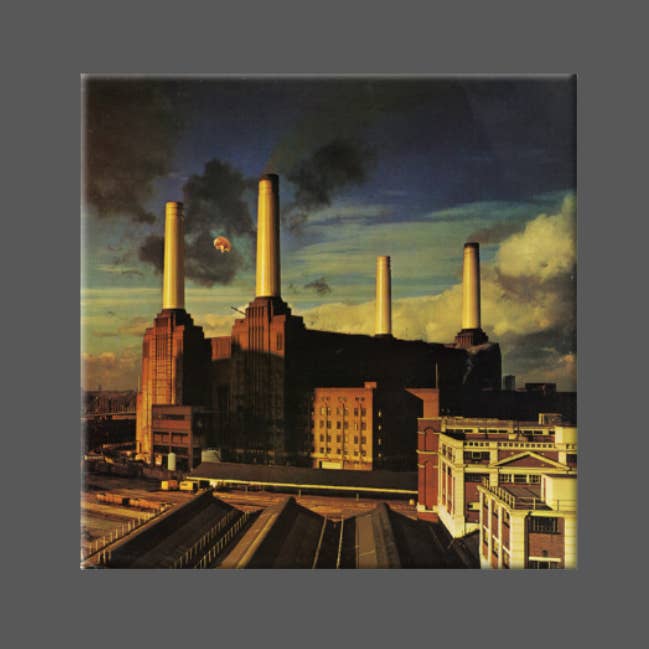 Ba Ba Buttons - Wholesale Magnet - PINK FLOYD, Magnet, Button, Fridge Magnet, ANIMALS