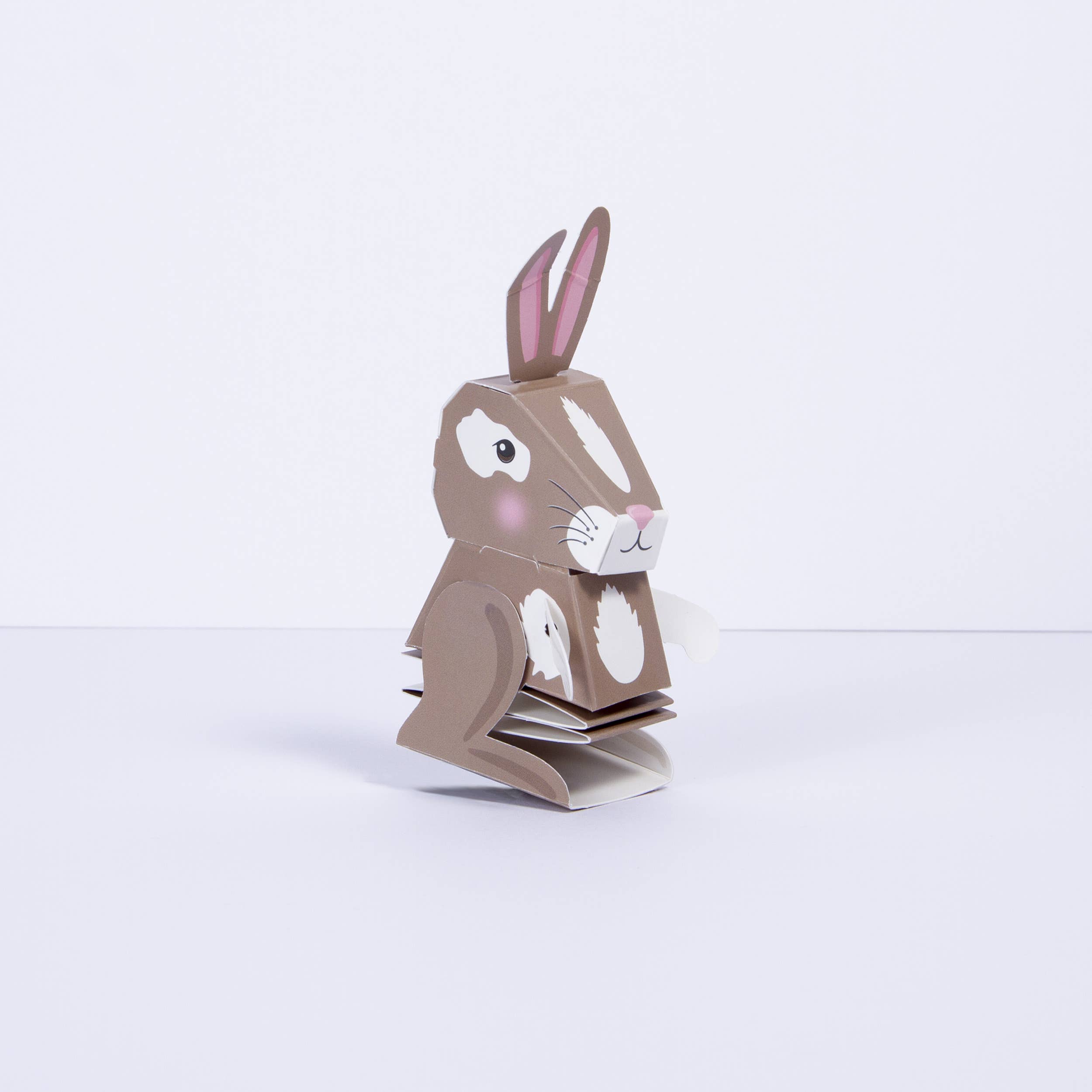 Clockwork Soldier - UK – Engroshandel DIY-hobbysæt – Børn – Opret din egen hoppende kanin3