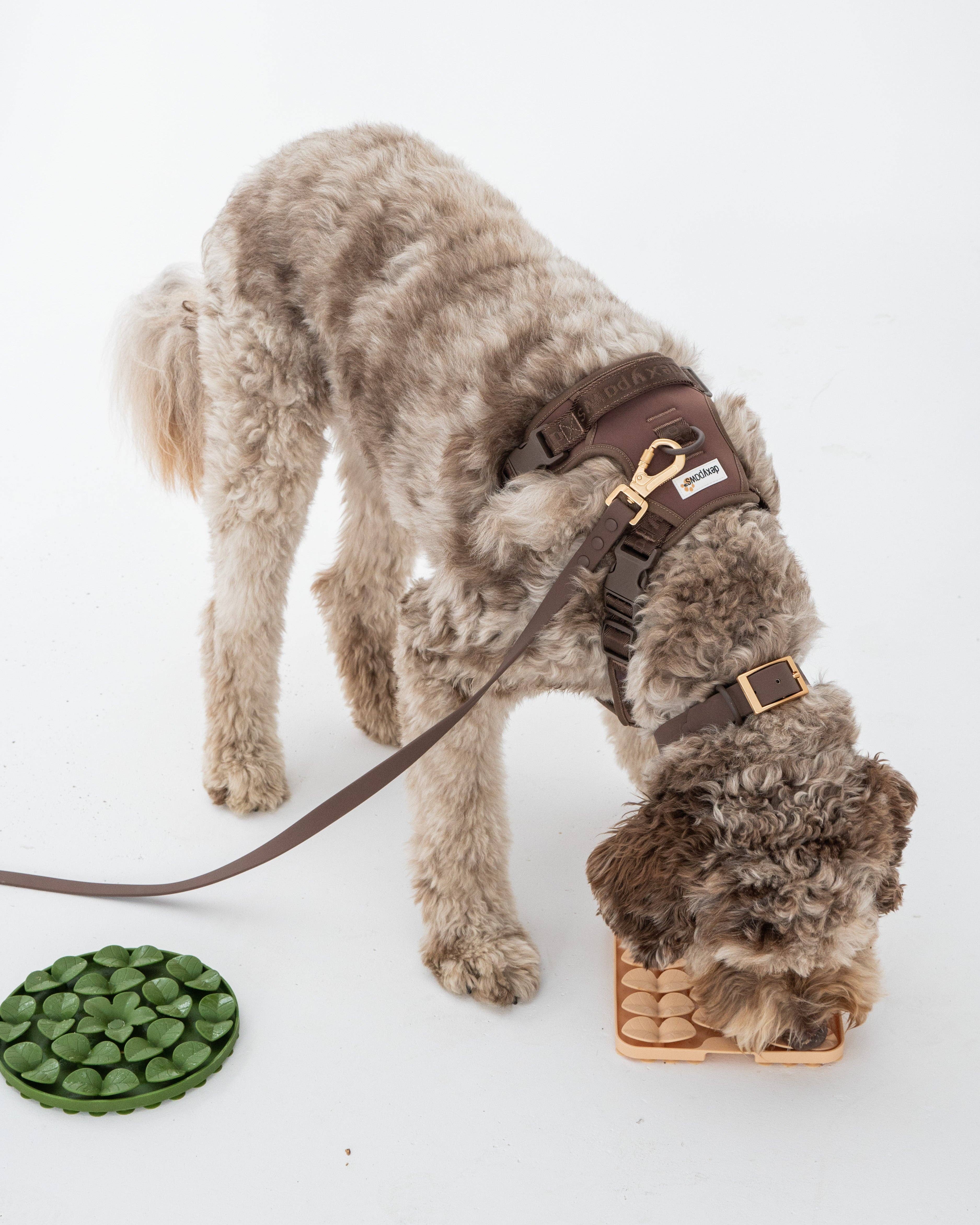 dexypaws - Vendita all'ingrosso Pettorina - Cani - Pettorina No-Pull per Cani – Colore Espresso1