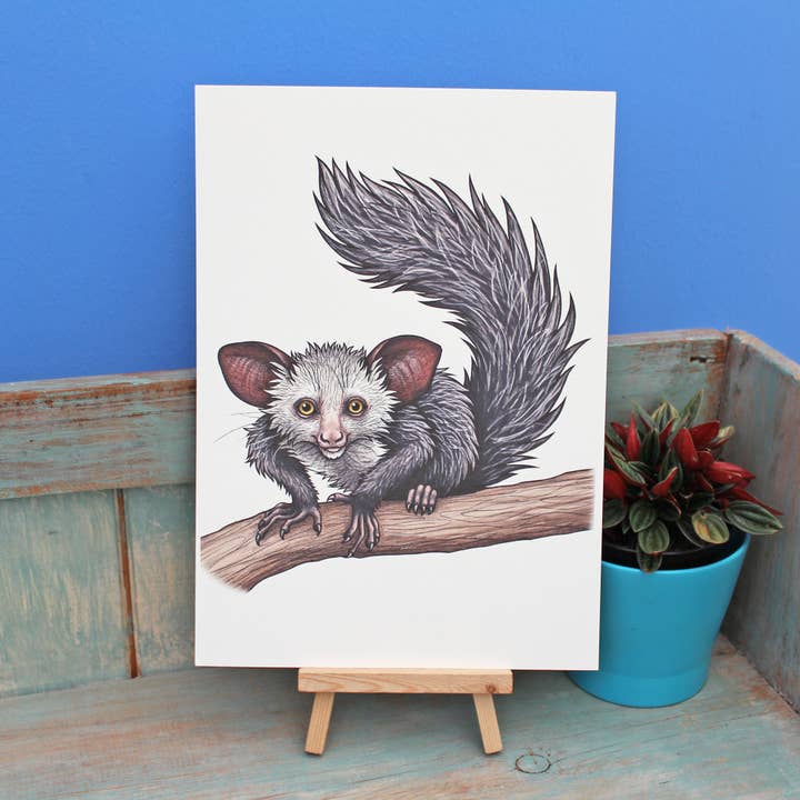 Aye Aye Illustration A4 Print for wholesale by Lyndsey Green Illustration