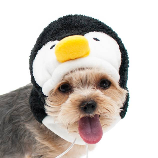 Penguin Hat for wholesale by Dogo Pet