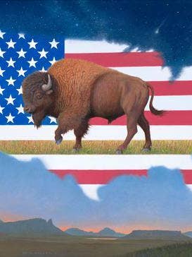 El regreso (del bisonte americano) para venta al por mayor de Frame of Mind