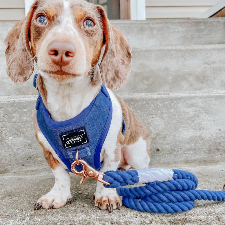 SASSY WOOF - Wholesale Pet Harness - Dog - Dog Adjustable Harness - Denim10