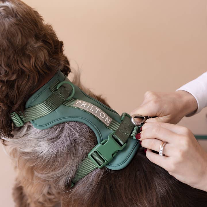 PRILTON - Wholesale Pet Harness - Dog - Harness - Green1