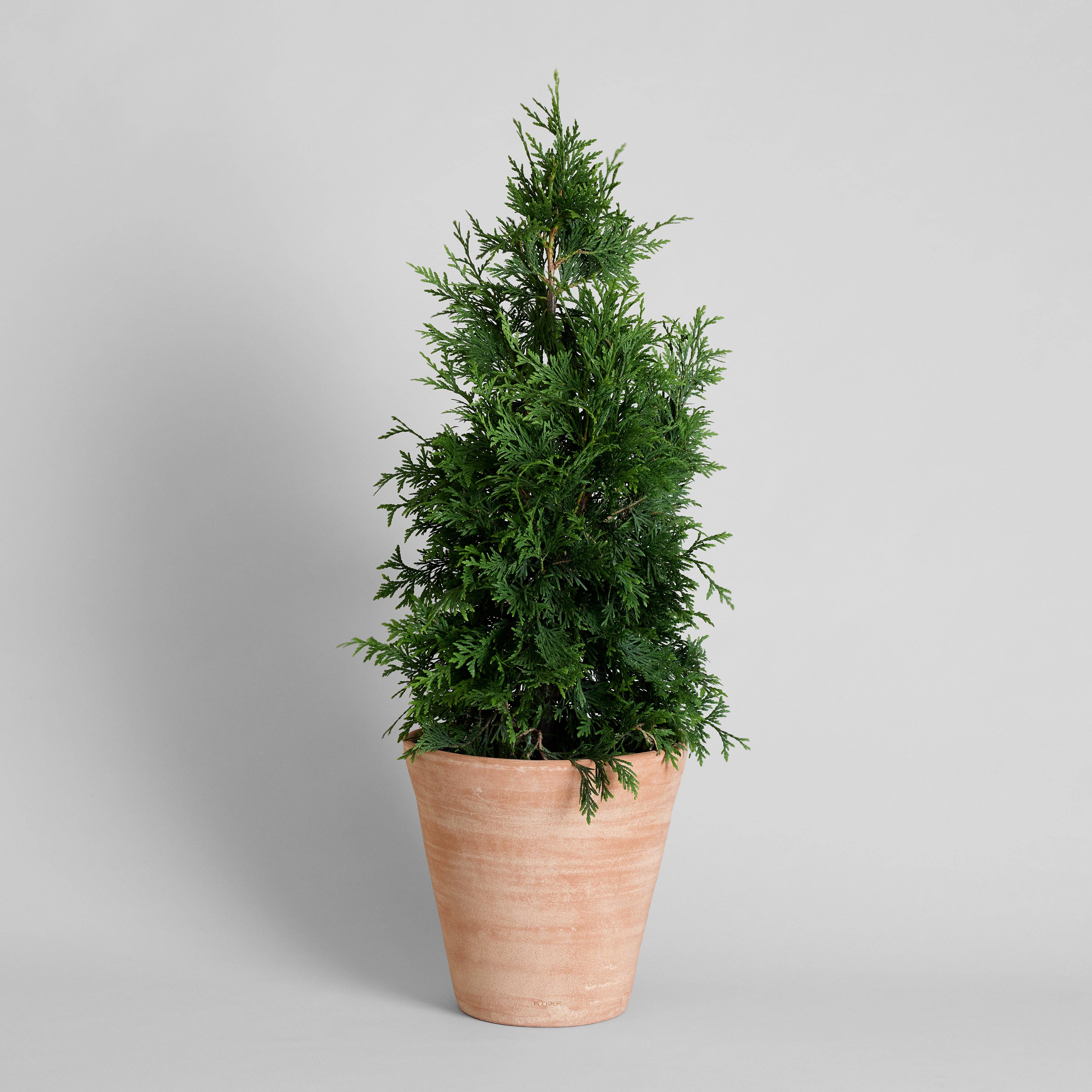 Bloomist – wholesale Plant pot – Studio Planter, Whitewash1