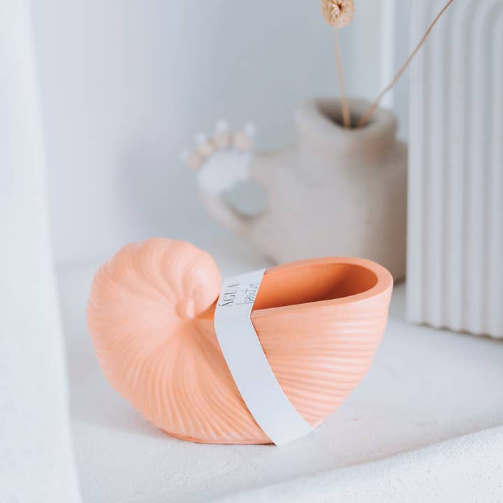 Agua Benta - Wholesale Jar/Filled Candle - Ostra shell candle soy wax3