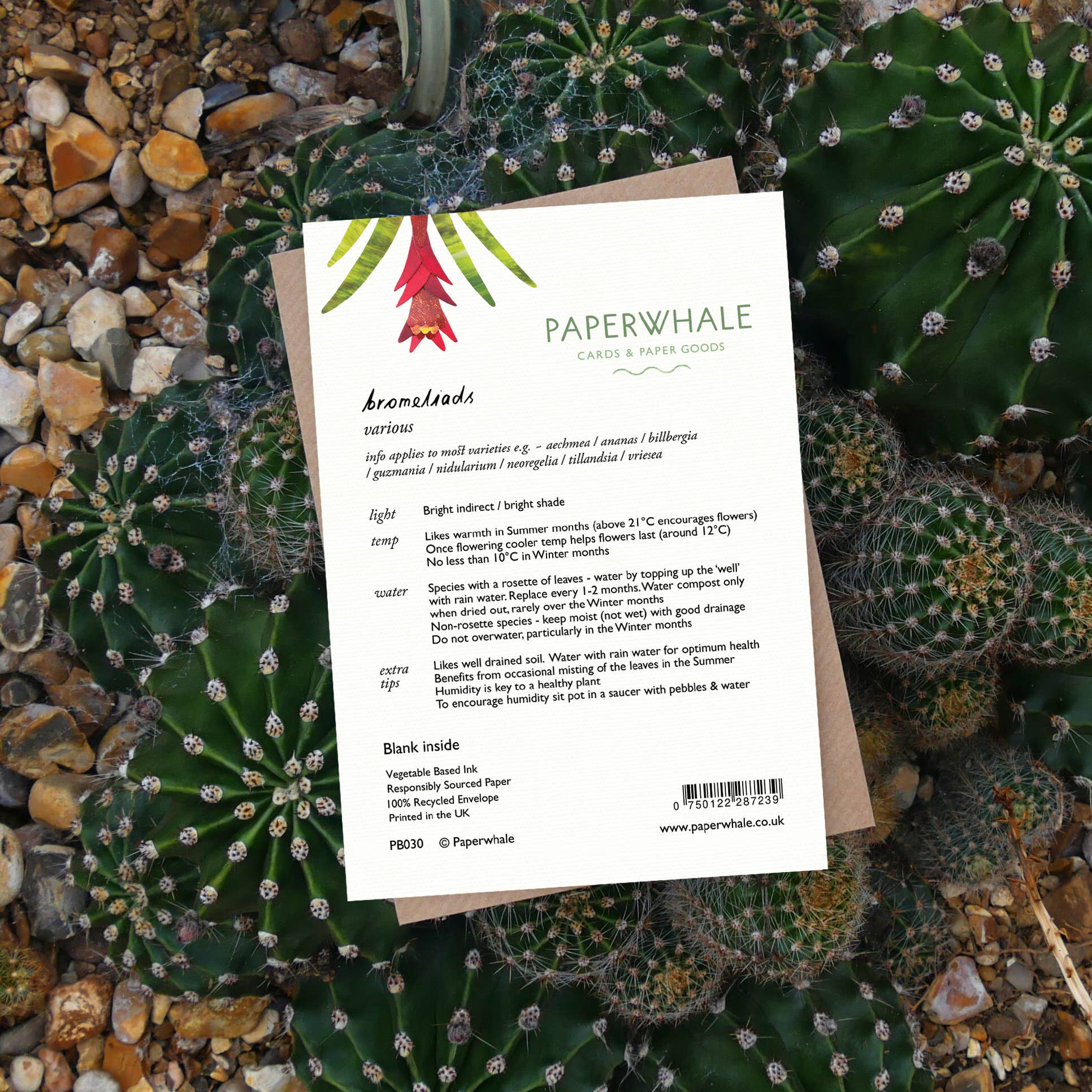 Paperwhale Cards & Paper Goods - Wholesale Everyday Greeting Card - Bromeliads Card2