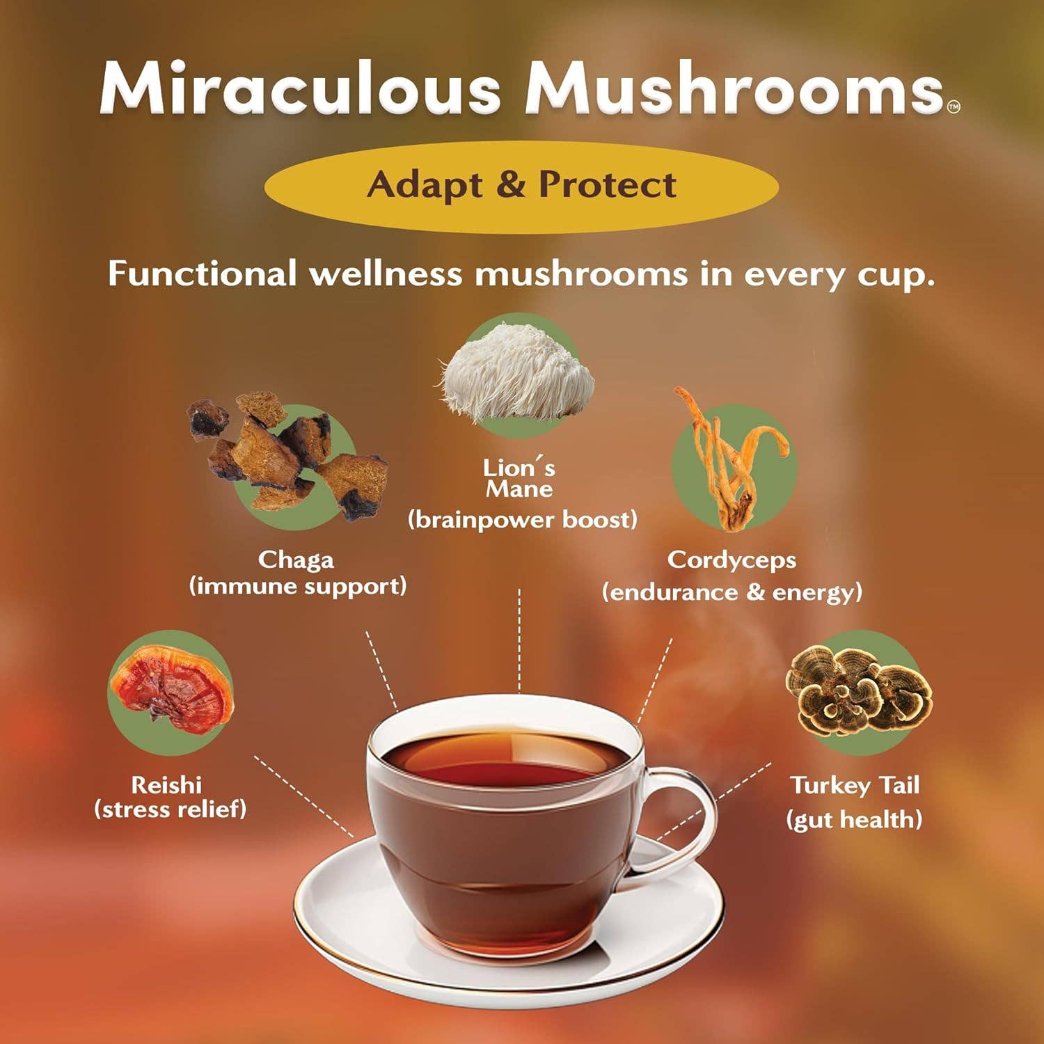 Teeccino – wholesale Health/detox tea – Organic Caffeine Free Miraculous Mushrooms Tea 25ct1