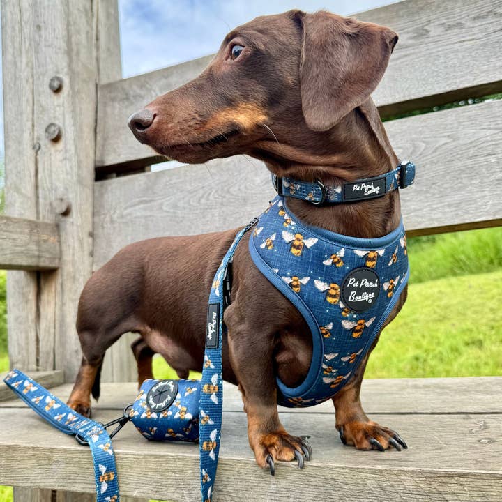 Pet Pooch Boutique - Wholesale Pet Harness - Dog - Blue Buzzy Bumble Bee Puppy Dog Harness