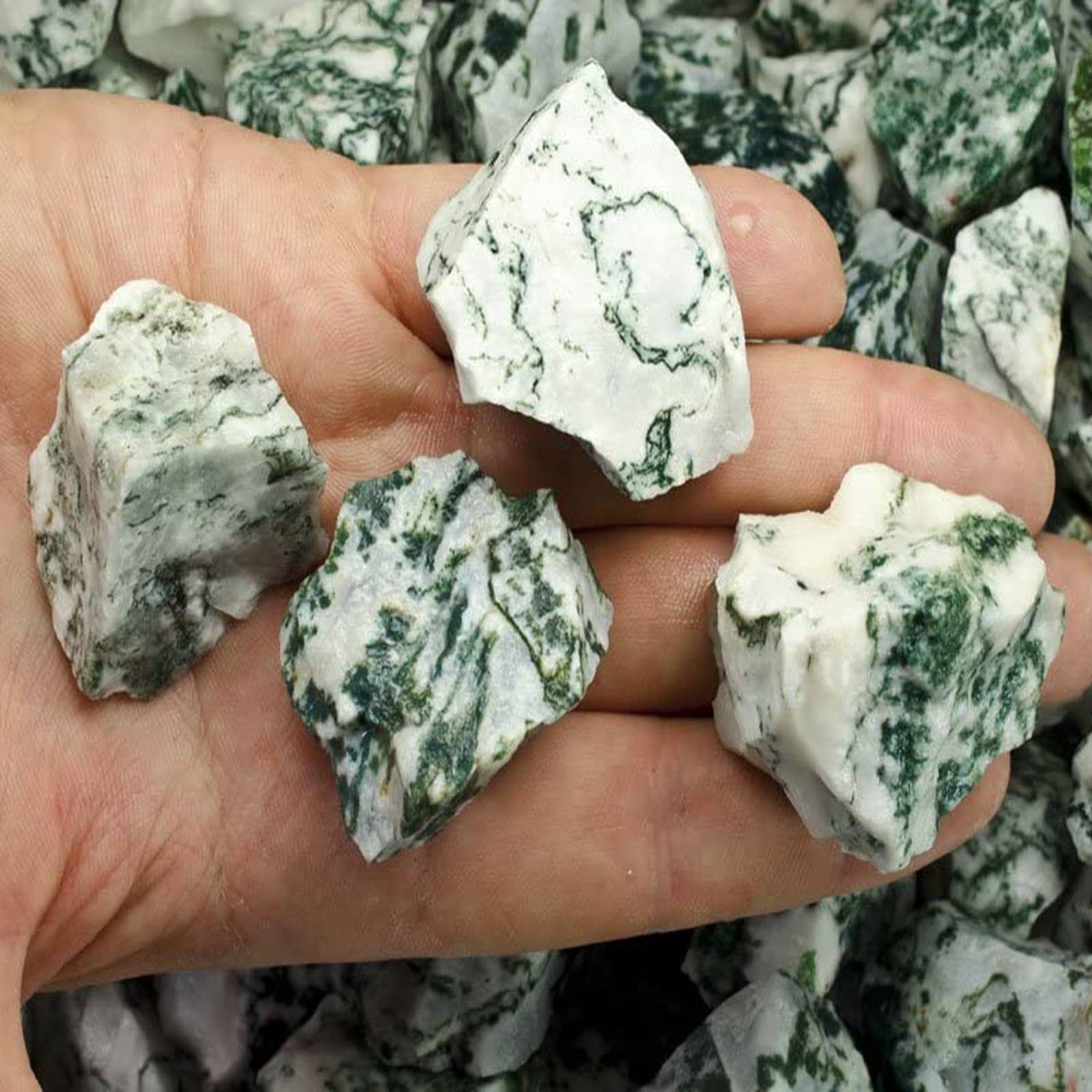 Fantasia Mining – wholesale Andlig sten/kristall – Rå Tree Agate från Indien – Naturliga stenar, 1 lb (454 g)1
